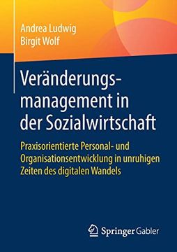 portada Veränderungsmanagement in der Sozialwirtschaft: Praxisorientierte Personal- und Organisationsentwicklung in Unruhigen Zeiten des Digitalen Wandels (in German)