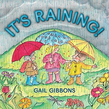 portada It's Raining! (en Inglés)