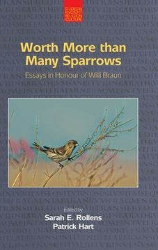 portada Worth More Than Many Sparrows: Essays in Honour of Willi Braun (in English)