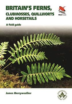 portada Merryweather, j: Britain's Ferns (Wildguides) (en Inglés)