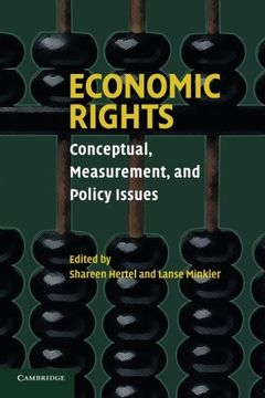 portada Economic Rights: Conceptual, Measurement, and Policy Issues (en Inglés)