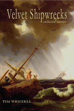 portada Velvet Shipwrecks: Collected Stories (in English)