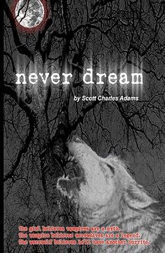 portada never dream (in English)
