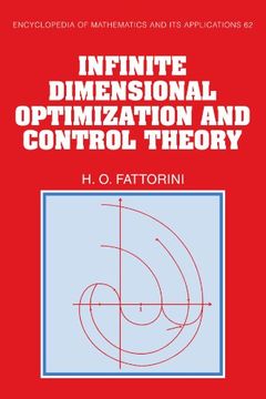 portada Infinite Dimensional Optimization and Control Theory Paperback (Encyclopedia of Mathematics and its Applications) (en Inglés)