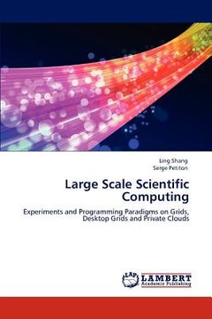 portada large scale scientific computing (en Inglés)