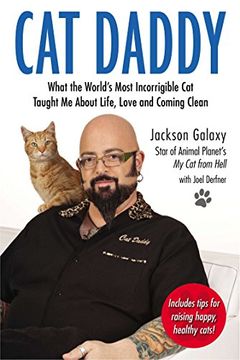portada Cat Daddy: What the World's Most Incorrigible cat Taught me About Life, Love, and Coming Clean 