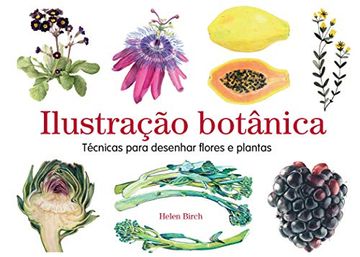 portada Ilustração Botnica. Técnicas Para Desenhar Flores e Plantas (en Portugués)