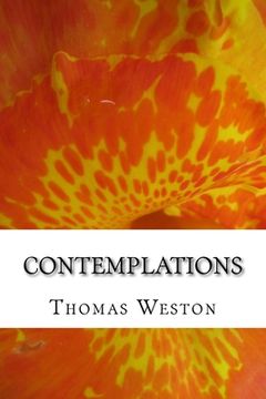 portada Contemplations: (Unorthodox Poetry & Irregular Observations) (in English)