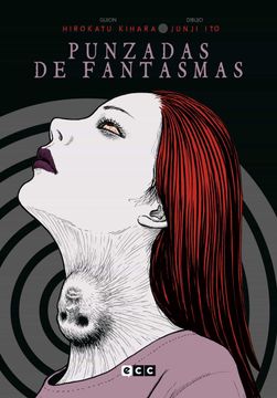 portada Punzadas de Fantasmas (Ed. Flexibook) (2ª Ed. ) (in Spanish)