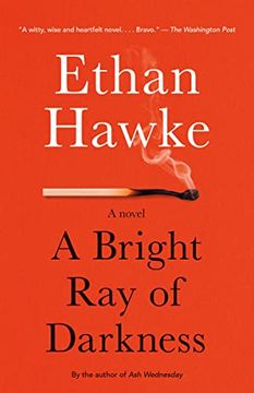 portada A Bright ray of Darkness: A Novel (Vintage Contemporaries) (in English)