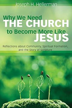portada Why we Need the Church to Become More Like Jesus: Reflections About Community, Spiritual Formation, and the Story of Scripture (en Inglés)