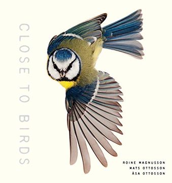 portada Close to Birds: An Intimate Look at our Feathered Friends (en Inglés)