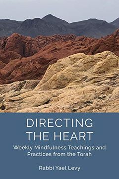 portada Directing the Heart: Weekly Mindfulness Teachings and Practices From the Torah (en Inglés)