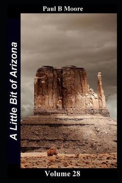 portada A Little Bit of Arizona: Volume 28 (in English)