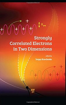 portada Strongly Correlated Electrons in Two Dimensions (en Inglés)