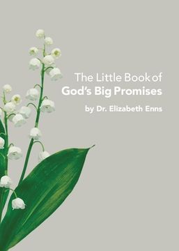 portada The Little Book of God's Big Promises (en Inglés)