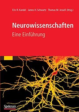 portada Neurowissenschaften: Eine Einfã¼Hrung (German Edition) [Soft Cover ] (in German)