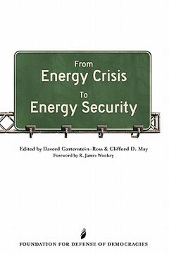 portada from energy crisis to energy security (en Inglés)