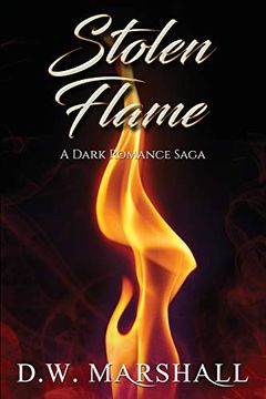 portada Stolen Flame (The Seven Chamber Series) (en Inglés)