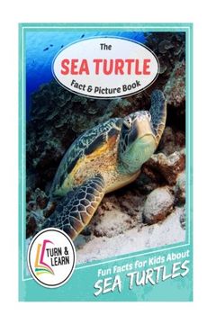 portada The Sea Turtle Fact and Picture Book: Fun Facts for Kids About Sea Turtles