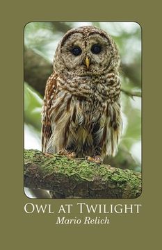 Owl at Twilight (en Inglés)
