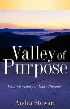 portada valley of purpose (en Inglés)