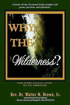portada why the wilderness?: god sends angels after we go through! (en Inglés)