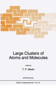 portada large clusters of atoms and molecules (en Inglés)