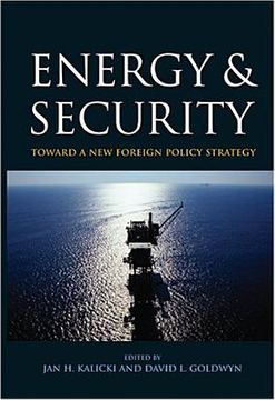 energy and security,toward a new foreign policy strategy