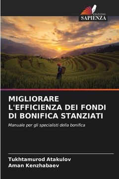 portada Migliorare l'Efficienza Dei Fondi Di Bonifica Stanziati (en Italiano)