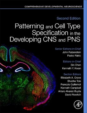 portada Patterning and Cell Type Specification in the Developing CNS and Pns: Comprehensive Developmental Neuroscience (in English)