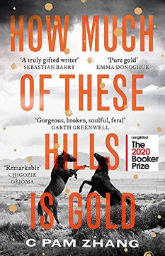portada How Much of These Hills is Gold: Longlisted for the Booker Prize 2020 