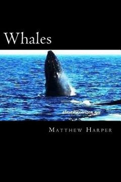 portada Whales: A Fascinating Book Containing Whale Facts, Trivia, Images & Memory Recall Quiz: Suitable for Adults & Children (en Inglés)