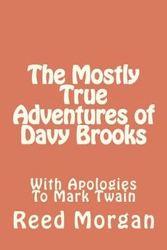 portada the mostly true adventures of davy brooks (in English)