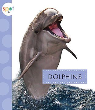 portada Dolphins (Spot Ocean Animals) (in English)