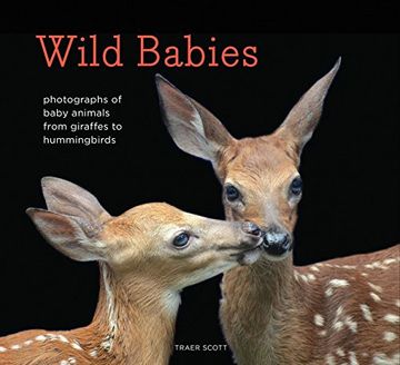 portada Wild Babies: Photographs Of Baby Animals From Giraffes To Hummingbirds