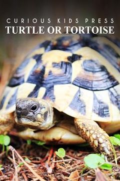 portada Turtle Or Tortoise - Curious Kids Press: Kids book about animals and wildlife, Children's books 4-6 (en Inglés)