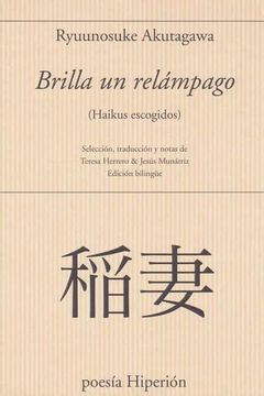 portada Brilla un Relámpago (in Spanish)