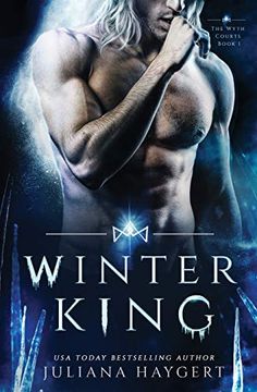 portada Winter King (en Inglés)