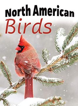 portada North American Birds (For Adults With Dementia and Other Life Challenges) 