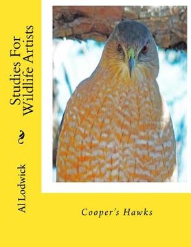 portada Cooper's Hawks: Studies For Wildlife Artists (en Inglés)