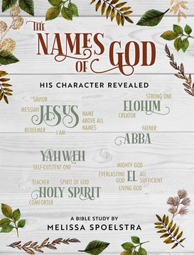 portada The Names of god - Women's Bible Study Participant Workbook: His Character Revealed (in English)