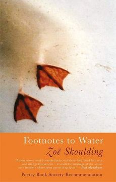 portada Footnotes to Water (en Inglés)