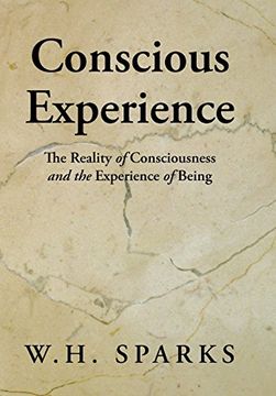 portada Conscious Experience: The Reality of Consciousness and the Experience of Being (en Inglés)