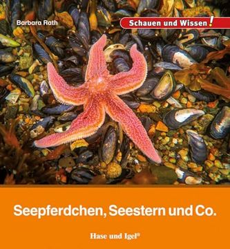 portada Seepferdchen, Seestern und co. (en Alemán)