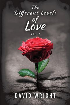 portada The Different Levels of Love, Volume 2 (en Inglés)