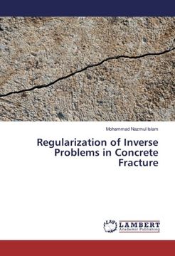 portada Regularization of Inverse Problems in Concrete Fracture