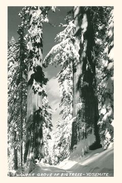 portada Vintage Journal Wawona Grove of Big Trees, Yosemite