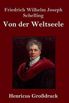 portada Von der Weltseele (Großdruck): Eine Hypothese der Höhern Physik zur Erklärung des Allgemeinen Organismus (en Alemán)