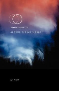 portada moonlight in ground spruce woods (en Inglés)